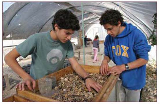Teenagers and volunteers at the Temple Mount Sifting Project conducted by the archeologists Dr. Gabi Barkai and Yitzchak Zweig at Emek Tsurim in Jerusalem. (courtesy of the City of David, Ancient Jerusalem archive)